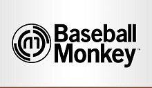 Baseball Monkey